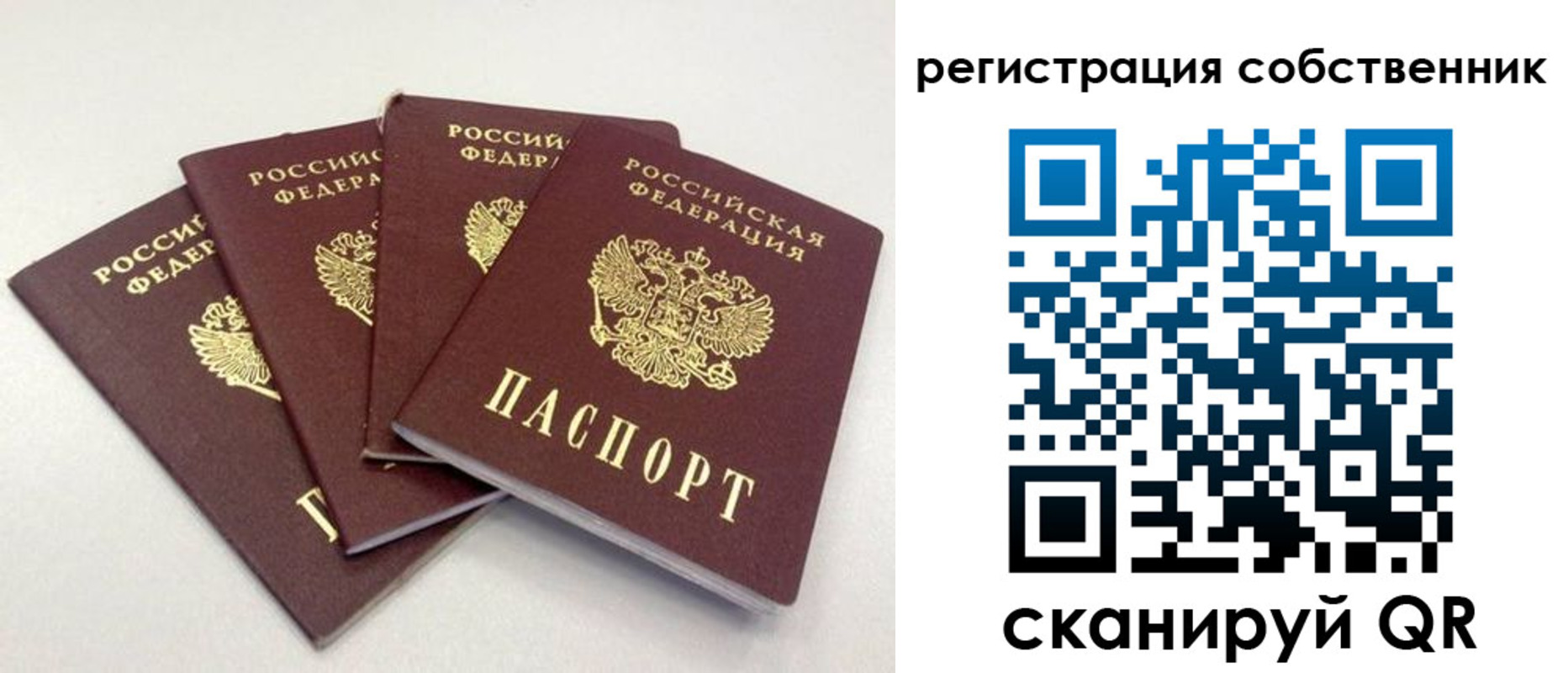 прописка для школы в Менделеевске